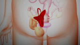 Pregnancy: Baby Outside Womb