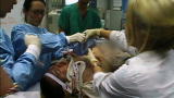 Shock Trauma: Deadly Crash