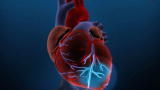 Diseases: Heart Attack Symptoms
