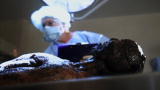 Most Shocking Autopsies: The CIA Mystery