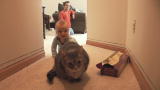 Little Parents, Big Charlie Webisodes: Charlie And The Cats