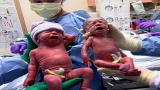 Health Promos :Baby Week