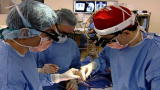 Surgeries: Bypass Surgery