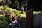 G Word: Eco Cemetery