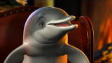 Blue August: Don't Feed the Dolphins
