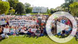 Planet 100: Polar Bear Does Tai Chi for Climate Delegates