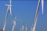 G Word: Wind Beneath My Wings