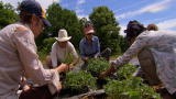 Emeril Green 2: The Clagett Farm CSA