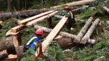 Heli-Loggers: Building A Landing Area