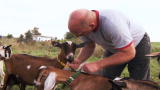 The Fabulous Beekman Boys: Introducing The Newest Goat Bachelor