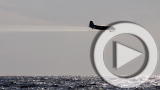 Planet 100: The BP Spill's Unexpected Legacy