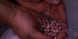 Emeril Green: Heirloom Beans