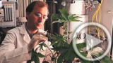 Planet 100: The Wold's Plants Face Extinction (Video News)