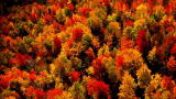 100 Places: Quebec Charlevoix Region, Canada