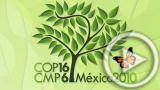 Planet 100: Guide to COP16: Cancun