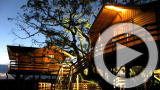 Planet 100: Top 5 Tree Houses