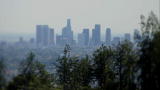 City Shorts: Los Angeles