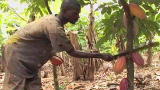 Emeril Green 2: Fair Trade Chocolate