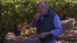 Emeril Green: Frog's Leap Winery