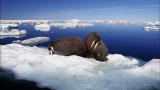100 Places: Nunavut, Canada