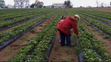 Emeril Green 2: Locally Grown Goodness