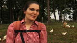Emeril Green: Why Organic Chicken?