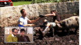 Fabulous Beekman Boys: Color Commentary: Cleaning Pigs in the Mud