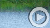 Planet 100: Iowa's Disappearing lake (7/28)