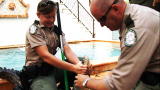 Operation Wild: Watch Your Arm!