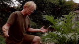 Living With Ed: Every-Day Tips: Grow It On Site