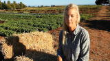 Fast Forward: Nell Newman