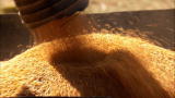 Boomtown Webisodes: Yes or No to an Oil Income?