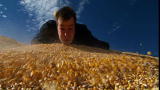 Reel Impact Shorts: King Corn