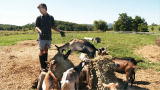 The Fabulous Beekman Boys: Goat Playground