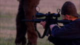 Boomtown Webisodes: Drill in the US or Afghanistan
