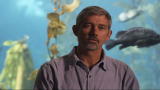 Blue August: Acid Test Extras: Food Webs