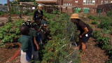 Emeril Green: Edible Schoolyard