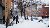 Treehugger TV 2011: Has Global Warming Stopped?