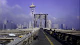City Shorts: New York City