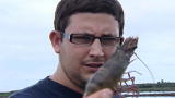 Blood, Sweat and Takeaways: Prawn Farming