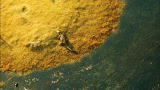 100 Places: The Okavango Delta, Botswana