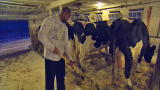 Wa$ted! Season 3: 3 Men and a Baby...Cow