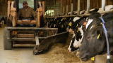 Dean of Invention: How Cow Waste Generates Electricity