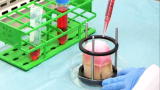 Dean of Invention: New Organs Repair Birth Defects