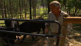 Focus Earth: Captive Breeding