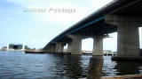 Operation Wild: Bridge Jumper
