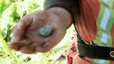 Heli-Loggers: A Good Luck Charm