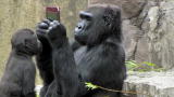 Planet 100: 10 Unbelievable Animals