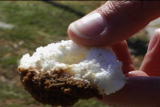 G Word: Green - Tech Smart Sponge