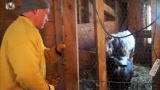 Fabulous Beekman Boys: Behind The Scenes: Feeding Hour On Beekman Farm